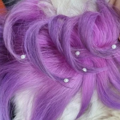 Coloração Pet: quais os cuidados que devemos seguir?