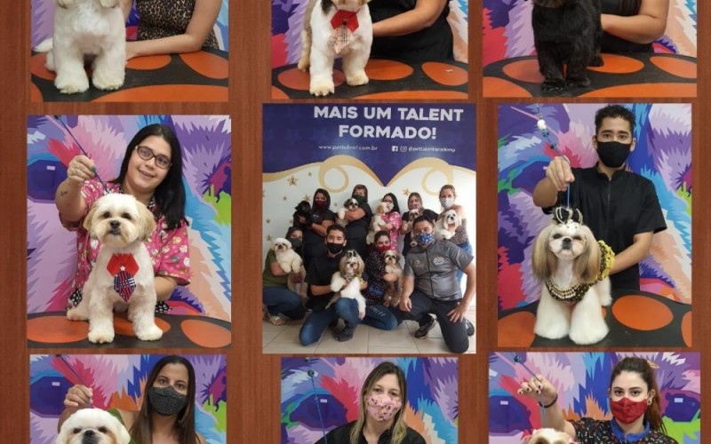 CURSO PRÁTICO DE ROSTINHO 