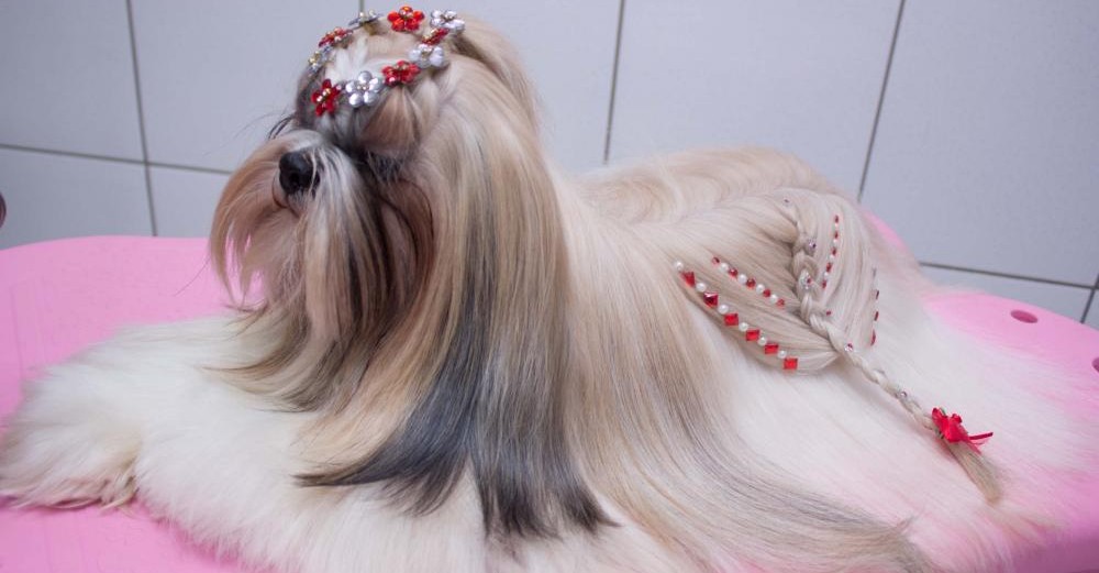 Penteado