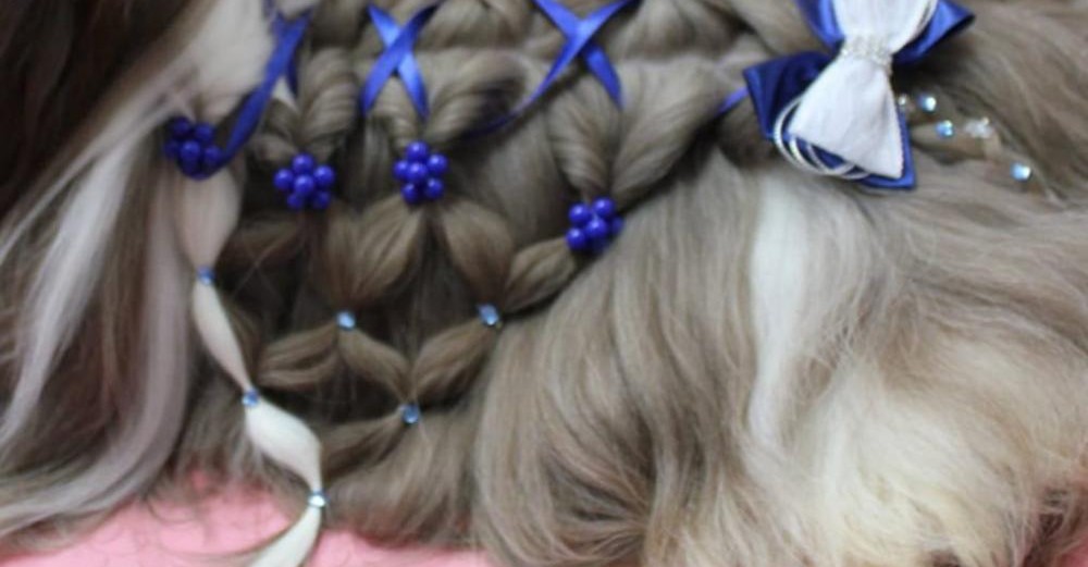 CURSO BÁSICO DE PENTEADO PET  - Online 